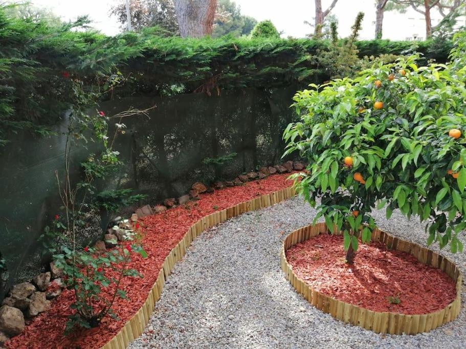 Beauvallon Plage - Magnifique T2 Avec Jardin, Proche Centre, Mer Antibes Exterior foto